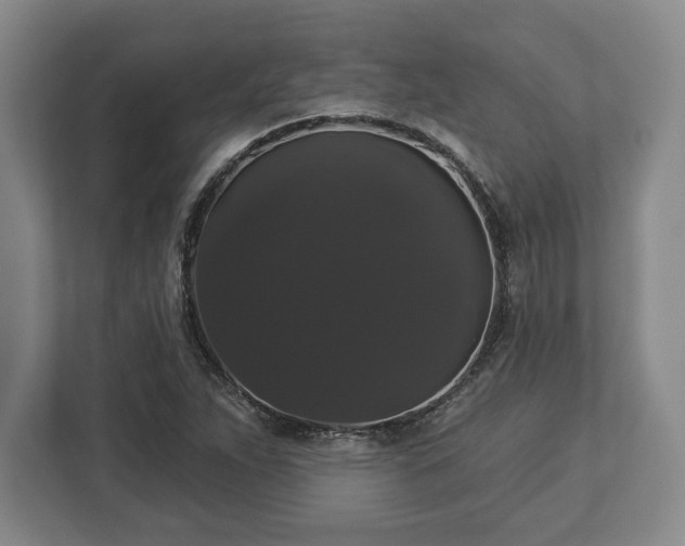 X0000113061263200909041031
