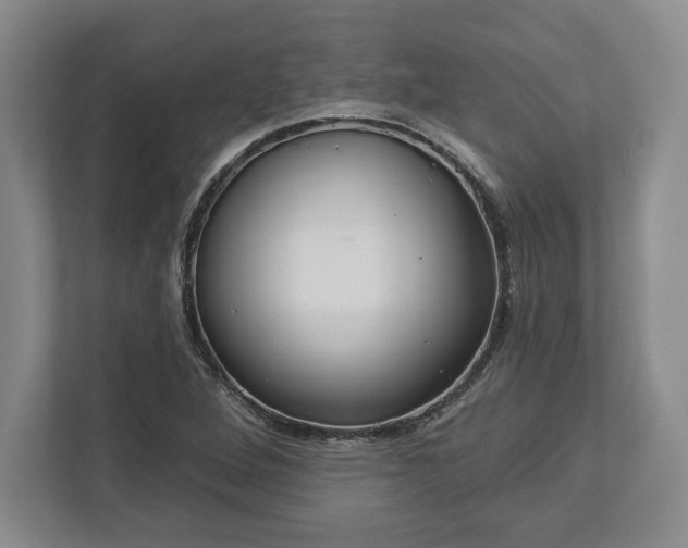 X0000113061264200909041031
