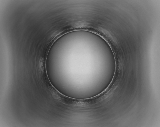 X0000113061265200909041031
