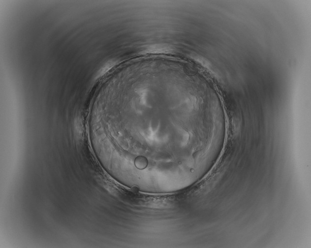 X0000113061266200909041031