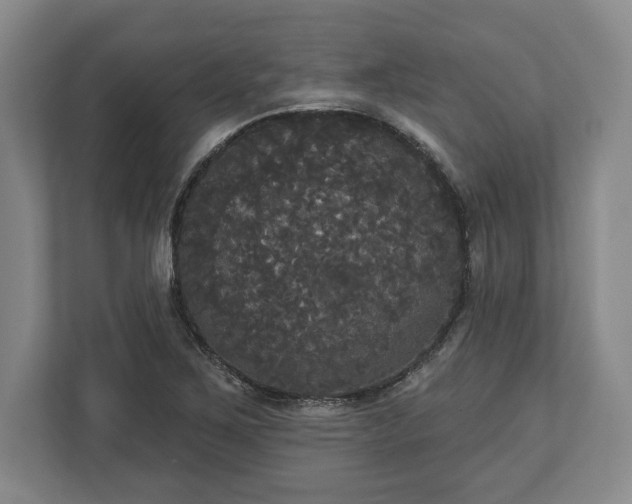 X0000113061267200909041031
