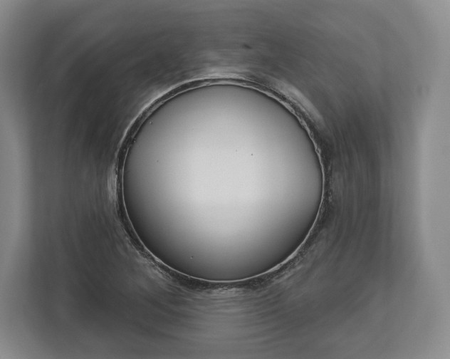 X0000113061268200909041031