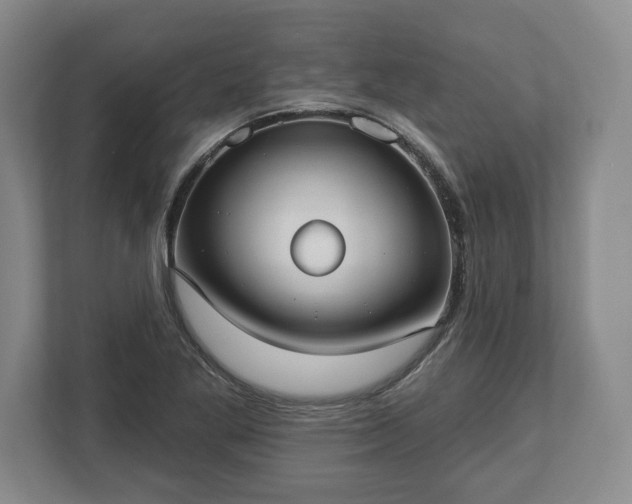 X0000113061269200909041031