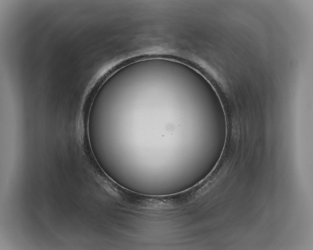X0000113061270200909041031