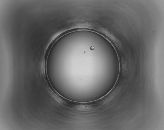 X0000113061272200909041030