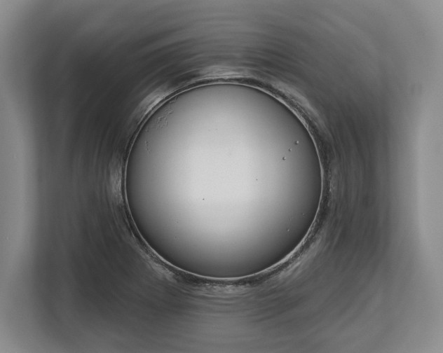X0000113061273200909041030