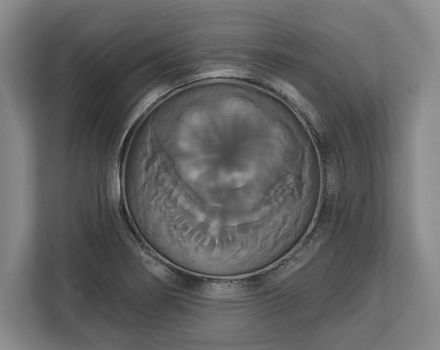 X0000113061274200909041030