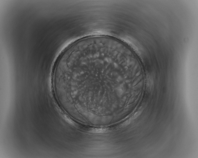 X0000113061278200909041030
