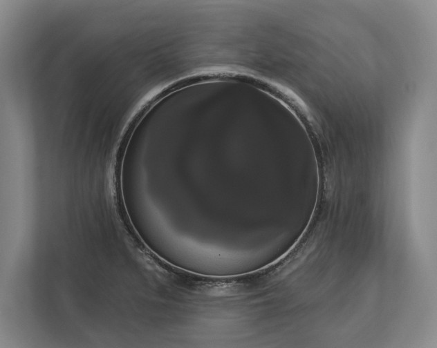X0000113061279200909041030
