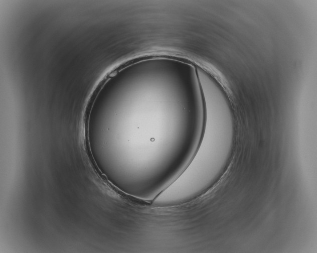 X0000113061280200909041030