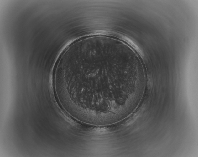 X0000113061283200909041030