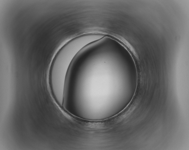 X0000113061285200909041030