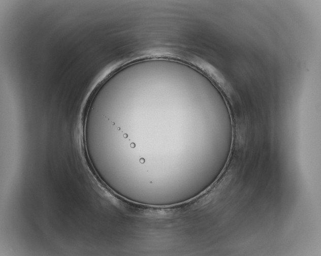 X0000113061286200909041030