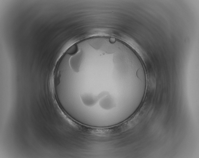 X0000113061290200909041030