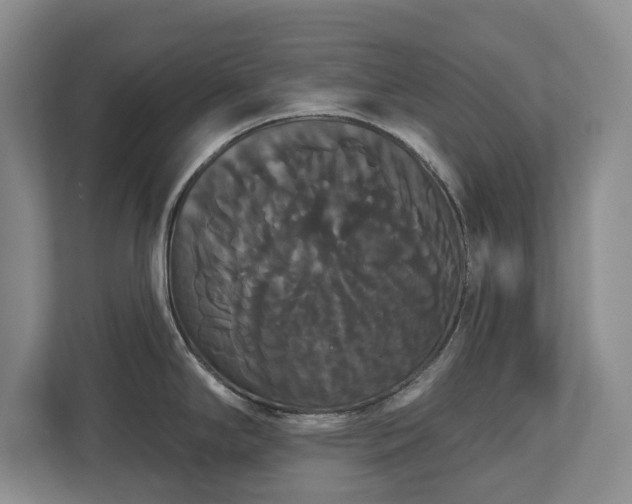 X0000113061294200909041030