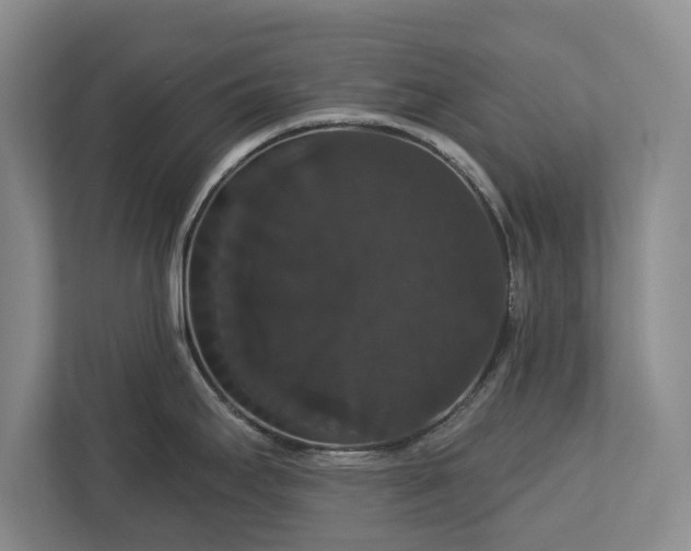 X0000113061295200909041030