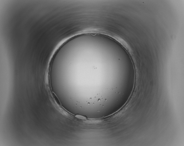 X0000113061296200909041030