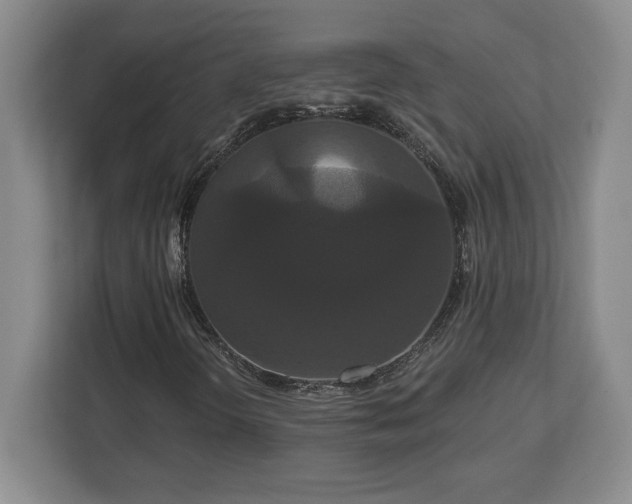 X0000113061298200909041030