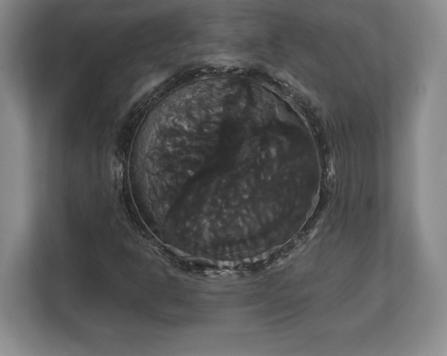 X0000113061302200909041030
