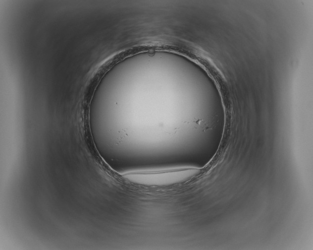 X0000113061304200909041030