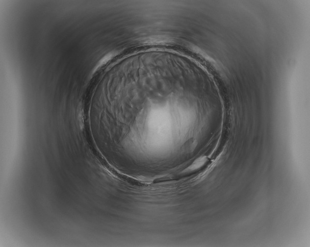 X0000113061306200909041030