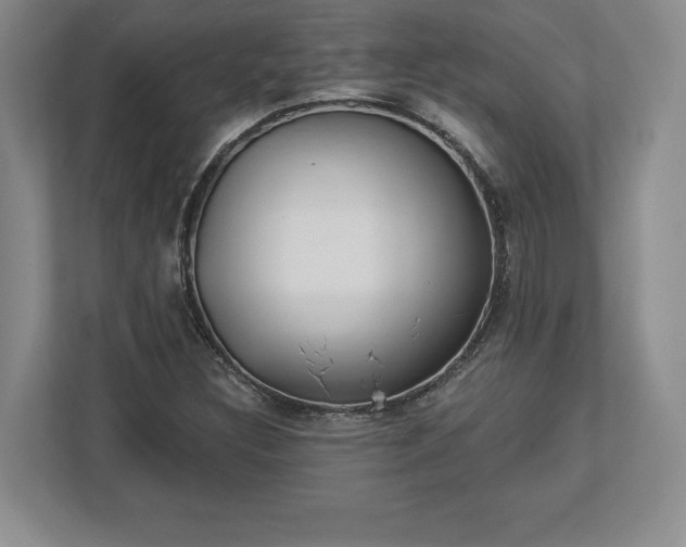 X0000113061308200909041030