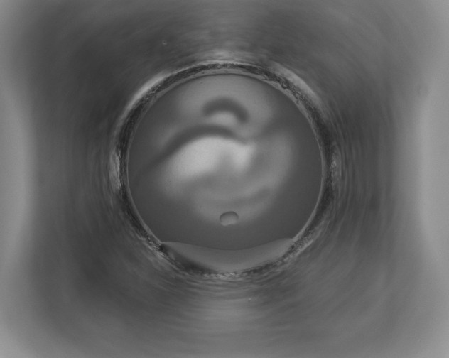 X0000113061310200909041030