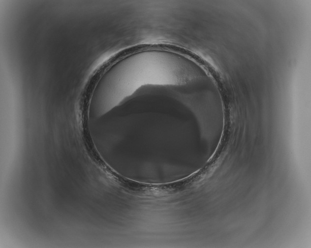 X0000113061311200909041030