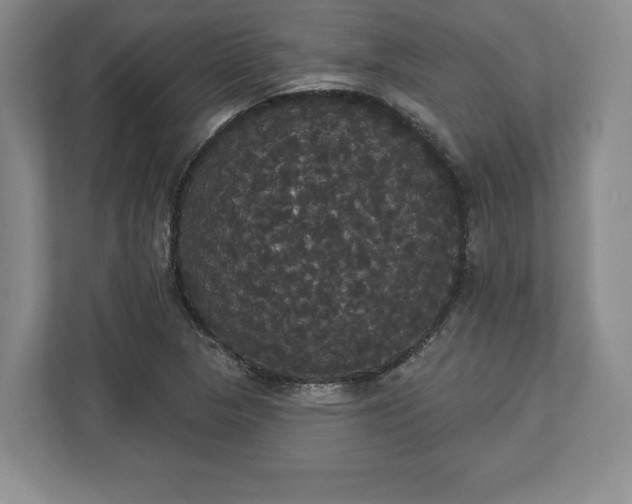 X0000113061313200909041030