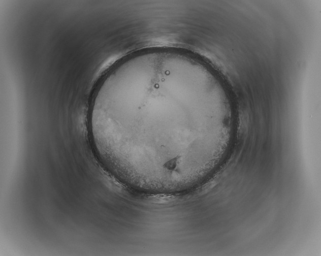 X0000113061314200909041030
