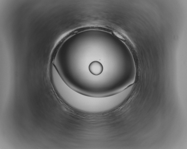 X0000113061320200909041030
