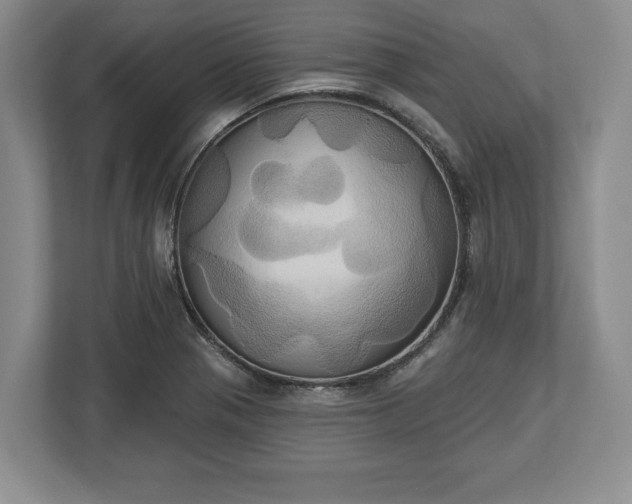 X0000113061321200909041030