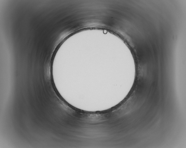 X0000113061322200909041030