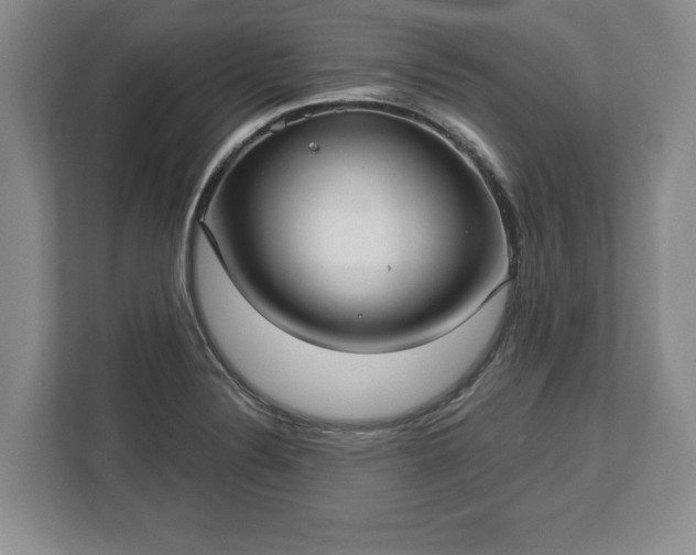 X0000113061324200909041030
