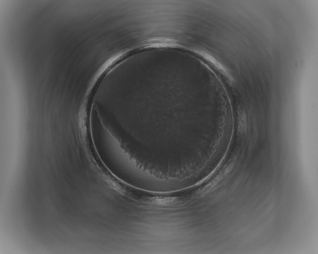X0000113061325200909041030