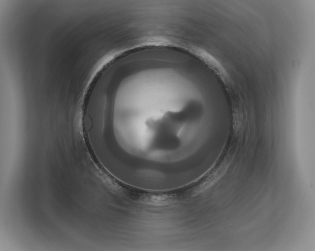 X0000113061326200909041030