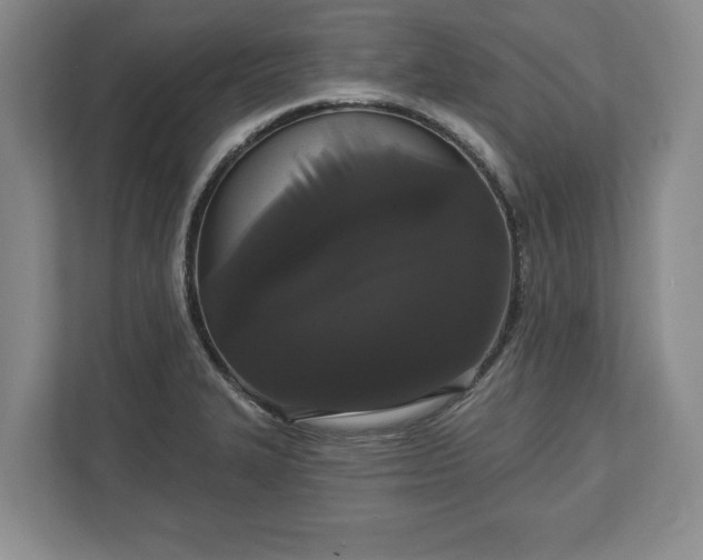 X0000113061327200909041030