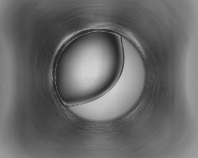 X0000113061328200909041030