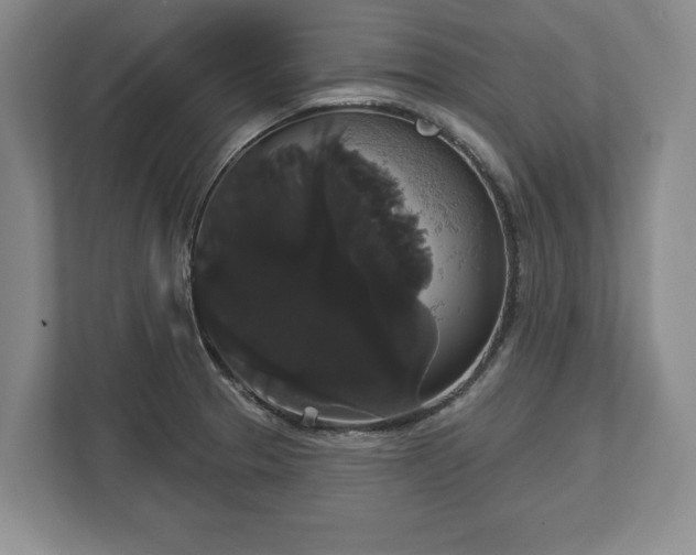 X0000113061329200909041030