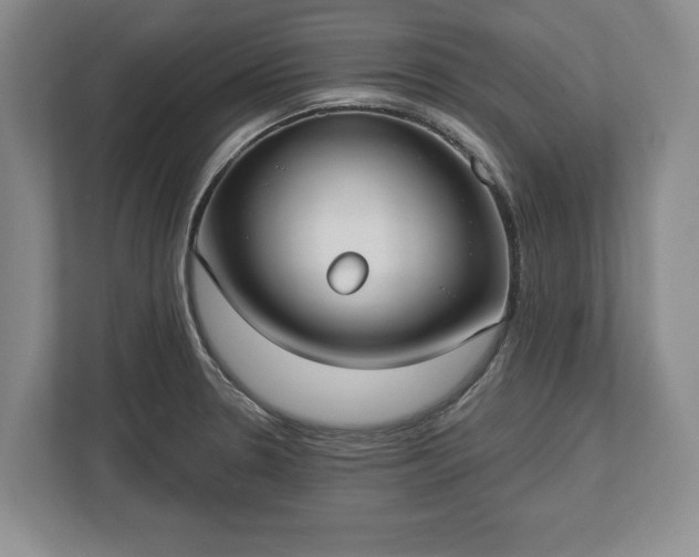 X0000113061330200909041030