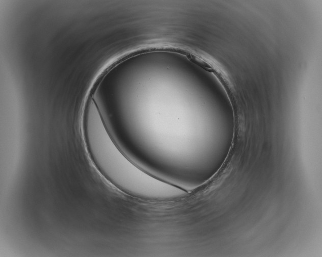 X0000113061334200909041030