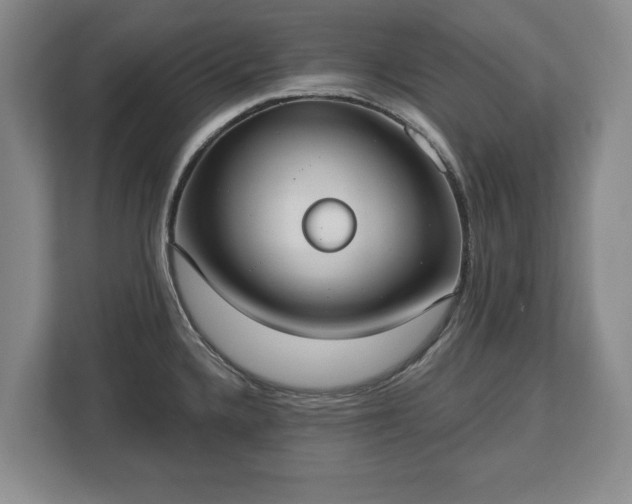 X0000113061336200909041030