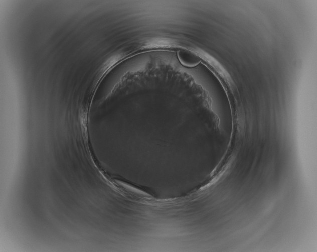 X0000113061337200909041030