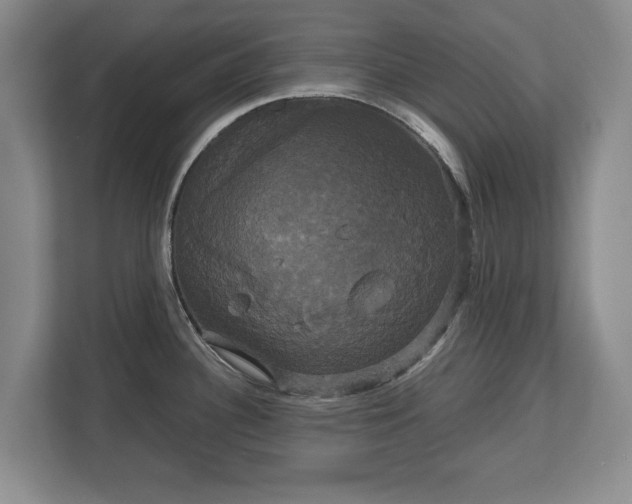 X0000113061340200909041030