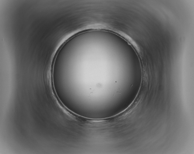 X0000113061343200909041030