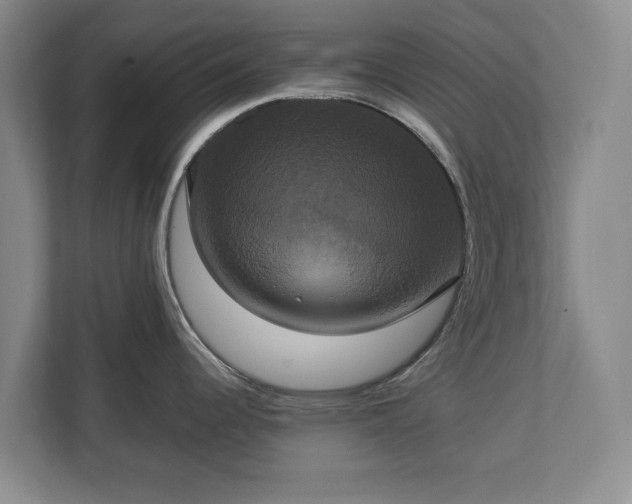 X0000113061344200909041030
