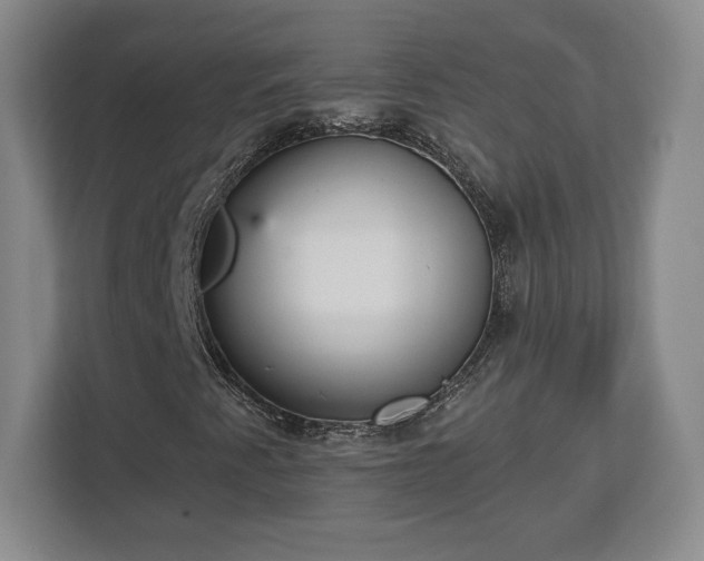 X0000113061345200909041030