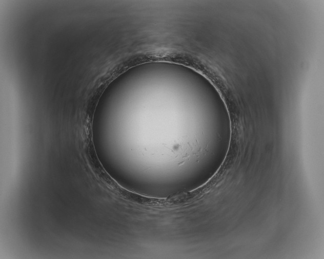 X0000113061349200909041029