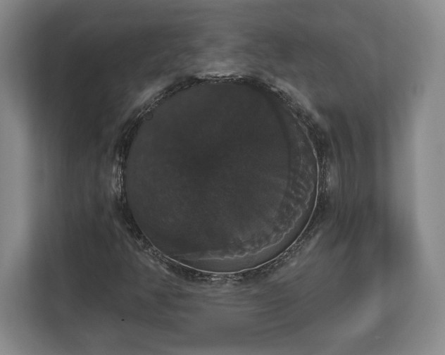 X0000113061350200909041029