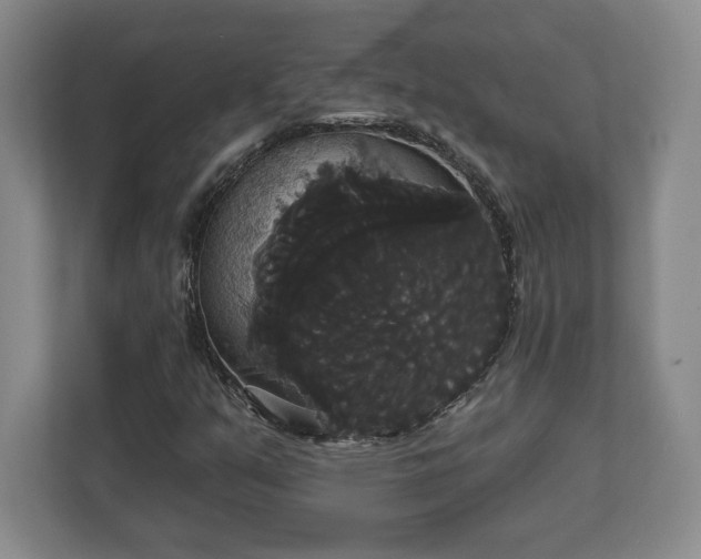 X0000113061351200909041029